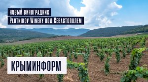 Новый виноградник Plotnikov Winery под Севастополем