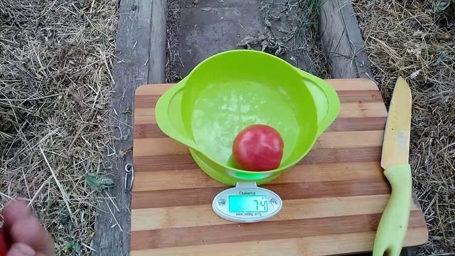 Сорт томата- Миля лунного света. смотреть онлайн