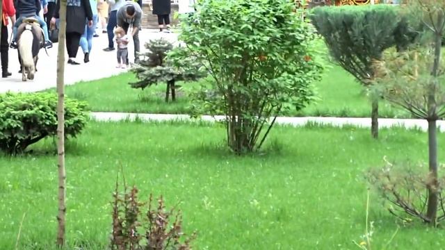 ЛОГО ПАРК-СКАЗОЧНОЕ МЕСТО.