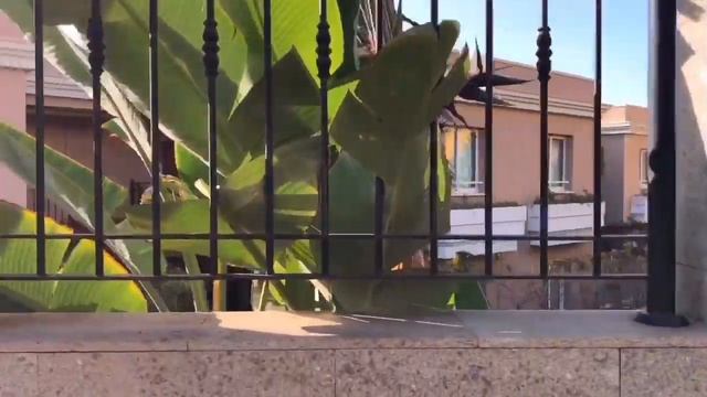 ЖИЗНЬ НА ТЕНЕРИФЕ: район, в котором мы живём в Пуэрто-де-Сантьяго смотреть онлайн