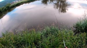 Ловля щуки летом на составник | Нашёл щуку в мутной воде после дождей