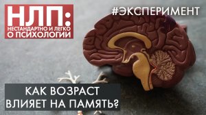 Как возраст влияет на память? | Эксперимент | НЛП