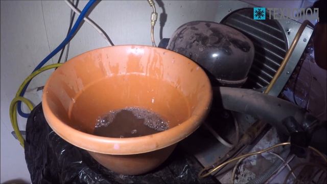 Обслуживание холодильных камер для цветов смотреть онлайн