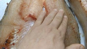 СУДАК ХОЛОДНОГО КОПЧЕНИЯ в электростатической коптильне