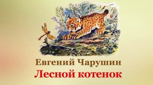 😺 Евгений Чарушин. Лесной котенок | Рассказы для детей