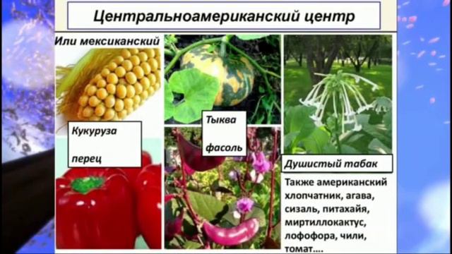 Тема: