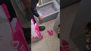 Автоматический туалет для кошек/ Как экономить на наполнителе для туалета / Всё для ваших любимцев/