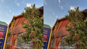 Canon EOS R8 Vs Canon EOS R6 Mark II Camera Test Comparison