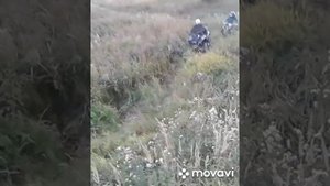 Квадроцикл BRP 1000, против питбайка