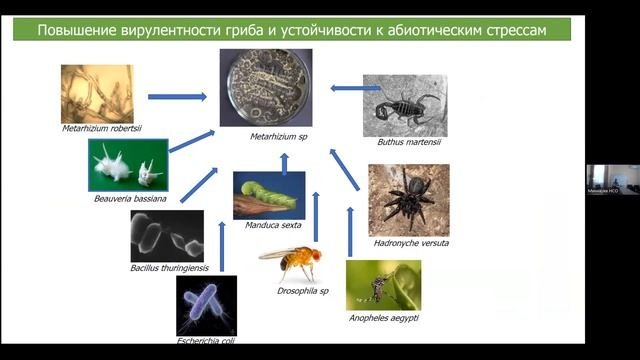 Семинар «Использование современных агробиотехнологий для защиты растений»