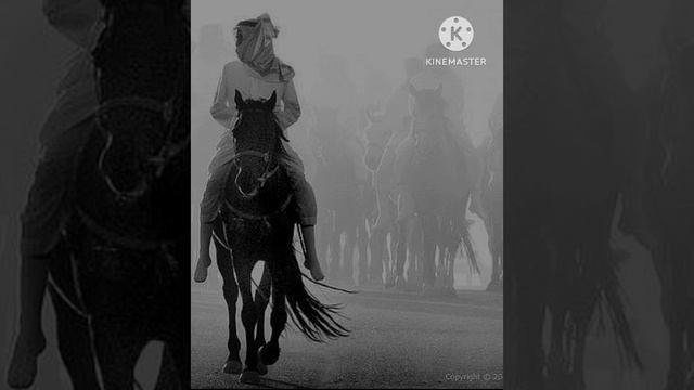 ПО причине этого мальчика Аллах ниспослал этот аят смотреть онлайн