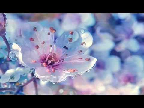 Какая Я.... #Онлайнрасклад