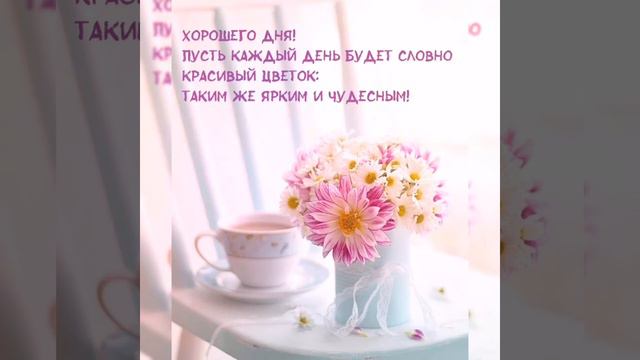 Пожелания 🌻🌼🏵️Хорошего Дня🎉🎉🎉🌺