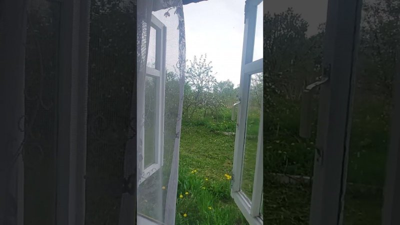 Майский дождик
