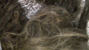 Почему выросли волосы в глушителе?