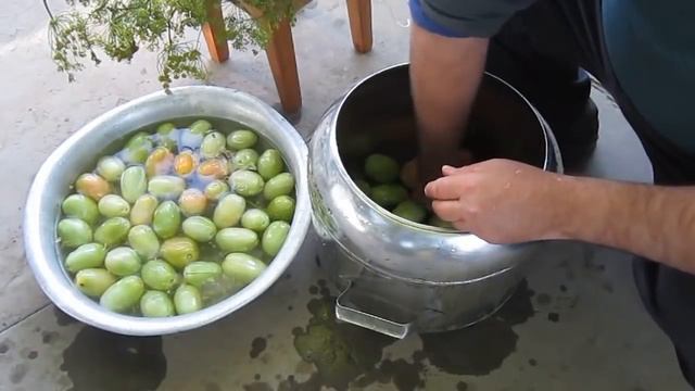 Бочковые зелёные помидоры смотреть онлайн