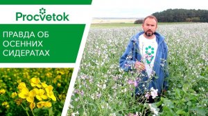 Не слушайте глупых о сидерации! Почему Вам ОЧЕНЬ нужны сидераты!