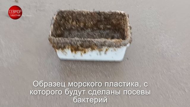 Севморсубботник-2023. Часть 3