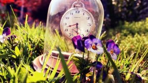 Русские женщины быстро стареют! Быстро стареющие люди фото!