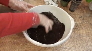 Цветочная композиция в кашпо для дома и сада. Контейнерное озеленение. Грунт для горшечных культур.