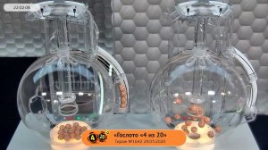 Столото представляет | Лотерея «Гослото «4 из 20». Тираж № 1642 от 29.03.2020 г.