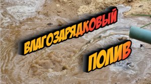 как, когда и зачем нужен влагозарядковый полив? когда, как и в каком количестве поливать деревья
