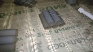 Разведение Австралийского рака 10