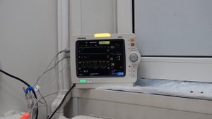 Гемодиализ у кошек и собак