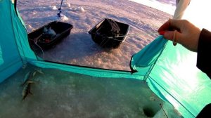 Рыбалка На Финском Заливе. Кронштадт. Плотва. Окунь. Ерш.