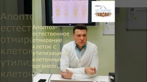 Что такое Некроз и Апоптоз