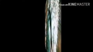 ТОП-10 САМЫХ БОЛЬШИХ КРЫС В МИРЕ!!