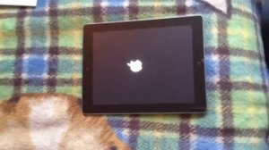 Обзор и Распаковка iPad 2 64 gb  3G
