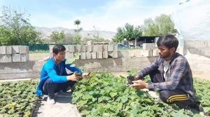 Ба 500, сомони Бизнеси нав дар Точикистон,  Накшаи нав бо Дехкон бача,  6 апреля 2023 г.