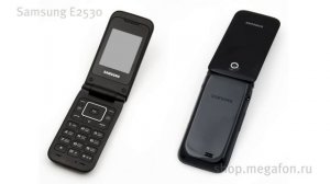 Samsung E2530