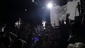 Anacondaz -- Эволюция