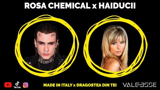 Rosa Chemical x Haiducii - Made in Italy x Dragostea din tei (VALEESSE mashup)