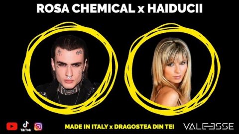 Rosa Chemical x Haiducii - Made in Italy x Dragostea din tei (VALEESSE mashup)