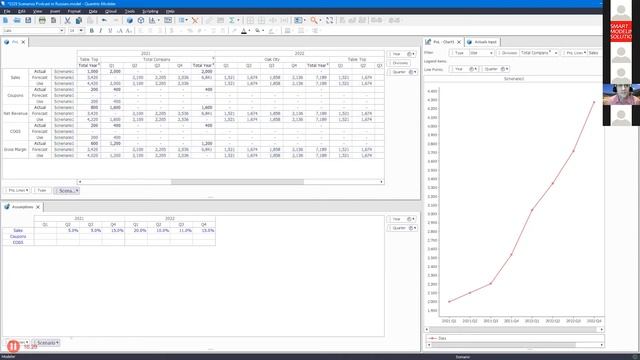 Онлайн-семинар Quantrix на русском.Часть 4. Создание сценариев в Quantrix