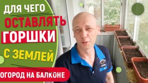 Для чего оставлять горшки с землей