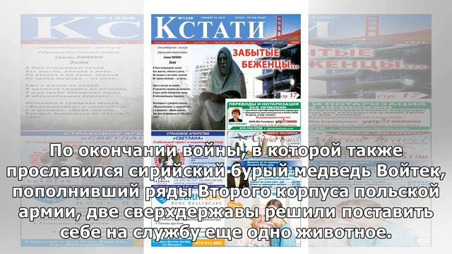 Newsweek (США): Россия, США и краткая история использования животных в качестве военной силы смотреть онлайн