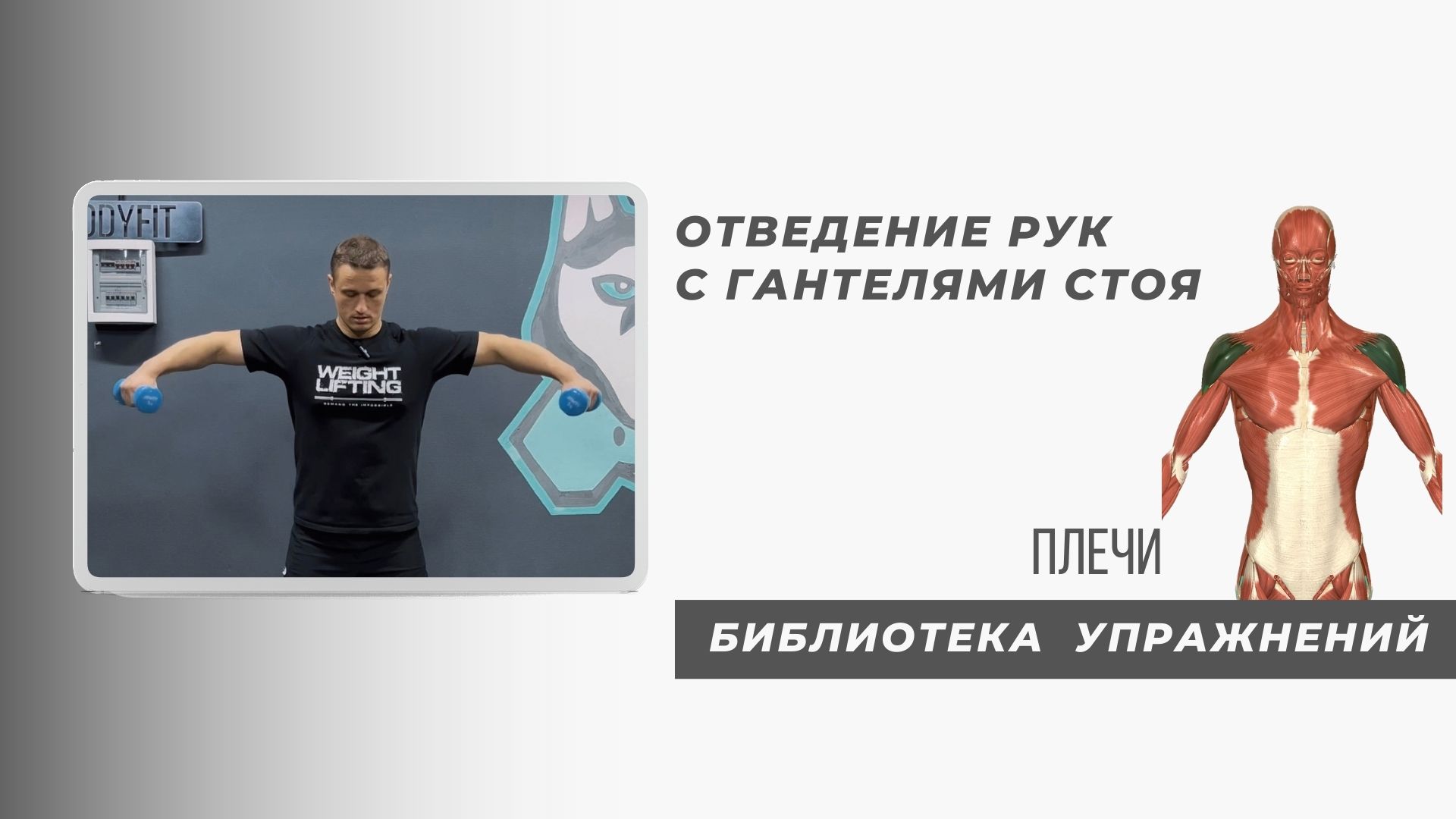 Хотите КРАСИВЫЕ плечи? Тогда НАУЧИТЕСЬ выполнять данное движение правильно.
