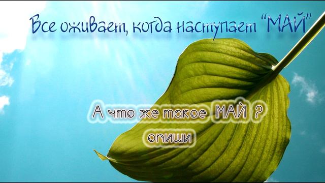 Все оживает, когда наступает май. смотреть онлайн