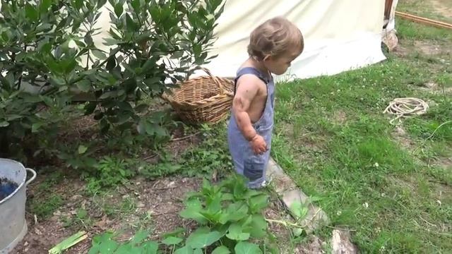 montage 6 смотреть онлайн