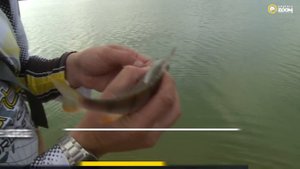 Ловля окуня на карьере в Подмосковье. Часть 1. Артем Мишин. Anglers Practical.