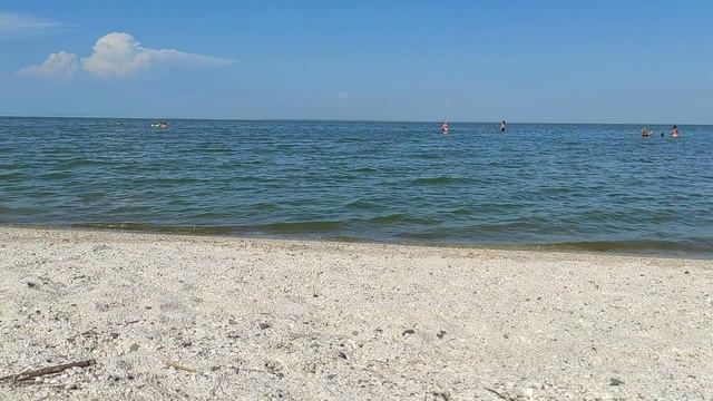 Ейск 2022. Ейск в августе. Когда цветет море в ейске. Азовское море ейск. Ейск азовское море центральный пляж.