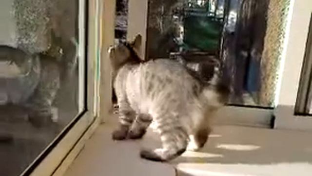 Теперь я здесь хозяйка смотреть онлайн