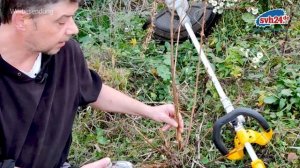 GARTEN: Produktreview DeWalt 18V Rasentrimmer DCMST561N | Produkttest | Deutsch | svh24.de