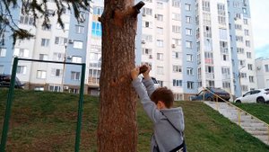 обзор площатки