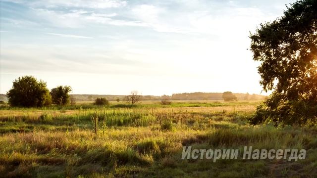 Убежав от неблагодарных детей в глухомань, Рита нашла на чердаке фото… смотреть онлайн