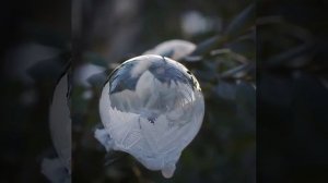 Bubbles Freeze In Real Time